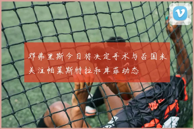 邓弗里斯今日将决定手术与否国米关注帕莱斯特拉和库菲动态