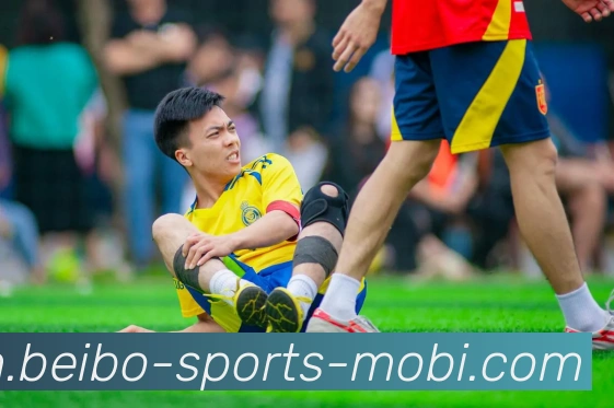 贝博体育APP 高清赛事图